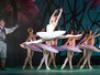 The Royal Ballet - {channelnamelong} (Youriplayer.co.uk)