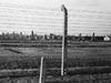 Sonderkommando Auschwitz-Birkenau - {channelnamelong} (Super Mediathek)