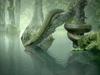 Titanoboa, le plus grand serpent du monde - {channelnamelong} (Youriplayer.co.uk)