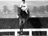 Arkle: The Legend Lives On - {channelnamelong} (Youriplayer.co.uk)