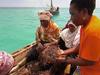Les pêcheuses d'algues de Zanzibar - {channelnamelong} (Super Mediathek)