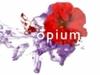 Opium culturele agenda gemist - {channelnamelong} (Gemistgemist.nl)