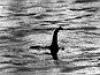 Das Geheimnis von Loch Ness - {channelnamelong} (Super Mediathek)
