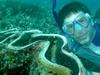 Steffens entdeckt: Palau