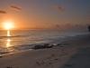 Sonnenaufgang auf dem Meeresgrund - {channelnamelong} (Youriplayer.co.uk)