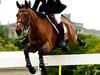 Equestrian: Global Champions Tour - {channelnamelong} (Youriplayer.co.uk)