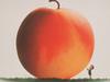 James and The Giant Peach - {channelnamelong} (TelealaCarta.es)