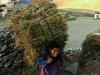 Himalaya  - La terre des femmes - {channelnamelong} (TelealaCarta.es)