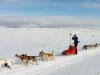 Mit Huskies über den Arctic Trail - weitweitweg - {channelnamelong} (Super Mediathek)