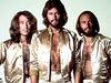 The Joy of the Bee Gees - {channelnamelong} (Super Mediathek)