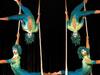 Cirque du Soleil: Varekai - {channelnamelong} (Super Mediathek)