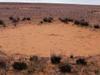 Les cercles de fées du Namib - {channelnamelong} (Super Mediathek)