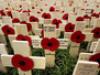Royal British Legion Festival of Remembrance - {channelnamelong} (Youriplayer.co.uk)