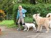 Tiere bis unters Dach (28) - {channelnamelong} (Youriplayer.co.uk)