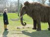 Die Wiedergeburt des Mammuts - {channelnamelong} (Youriplayer.co.uk)