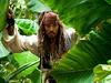 Pirates of the Caribbean: On Stranger Tides gemist - {channelnamelong} (Gemistgemist.nl)