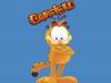Garfield - F4