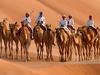 Wild Arabia - {channelnamelong} (Youriplayer.co.uk)
