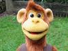 Milkshake Monkey - {channelnamelong} (Youriplayer.co.uk)