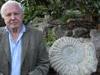 David Attenborough's Natural Curiosities - {channelnamelong} (Super Mediathek)