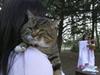 90 Cats & Counting: Cat Crazies - {channelnamelong} (TelealaCarta.es)