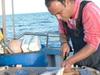 El chef del mar - {channelnamelong} (Youriplayer.co.uk)