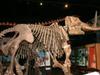 Piège mortel pour les mastodontes - {channelnamelong} (TelealaCarta.es)