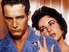 Cat on a Hot Tin Roof - {channelnamelong} (Youriplayer.co.uk)