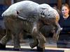 Woolly Mammoth: Secrets from the Ice - {channelnamelong} (TelealaCarta.es)
