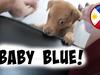 BABY BLUE! | AnKat - {channelnamelong} (Super Mediathek)