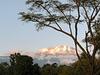 Die Tierärzte vom Kilimajaro: Eine Farm in Afrika - {channelnamelong} (Super Mediathek)