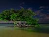 Amerikas Naturwunder - Die Everglades - {channelnamelong} (Super Mediathek)
