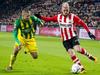 Samenvatting PSV - ADO Den Haag - {channelnamelong} (Replayguide.fr)