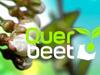 Querbeet - {channelnamelong} (Youriplayer.co.uk)