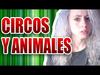 Los circos: LA GRAN CÁRCEL (Animales) - {channelnamelong} (TelealaCarta.es)