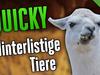 HINTERLISTIGE TIERE 🎮 Quicky #169 | Best of PietSmiet - {channelnamelong} (Super Mediathek)