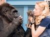 Koko: The Gorilla Who Talks to People gemist - {channelnamelong} (Gemistgemist.nl)