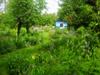 Natur im Garten (7/10) - {channelnamelong} (Youriplayer.co.uk)