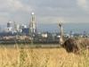 Kenia: Kein Platz für wilde Tiere