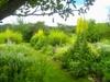 Natur im Garten (1/10) - {channelnamelong} (Youriplayer.co.uk)