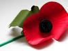 Two Minutes Silence - Remembrance Day - {channelnamelong} (Youriplayer.co.uk)