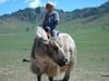 Reisen in ferne Welten: Mongolei