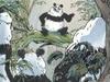 Pandas dans la brume - {channelnamelong} (Youriplayer.co.uk)
