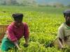 Rwanda, le pays des mille collines - {channelnamelong} (Youriplayer.co.uk)