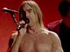 Iggy Pop : Post Pop Depression - {channelnamelong} (Super Mediathek)