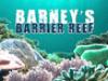 Barney's Barrier Reef - {channelnamelong} (Youriplayer.co.uk)