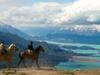 Patagonie dernier paradis sauvage - {channelnamelong} (Replayguide.fr)