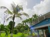 Caribbean Life - Haus im Paradies gesucht - {channelnamelong} (Super Mediathek)