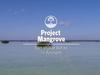 Project Mangrove: een stukje Belize in Burgers’ Zoo - {channelnamelong} (Youriplayer.co.uk)