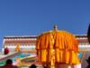 Tibet : terre des braves - {channelnamelong} (Super Mediathek)